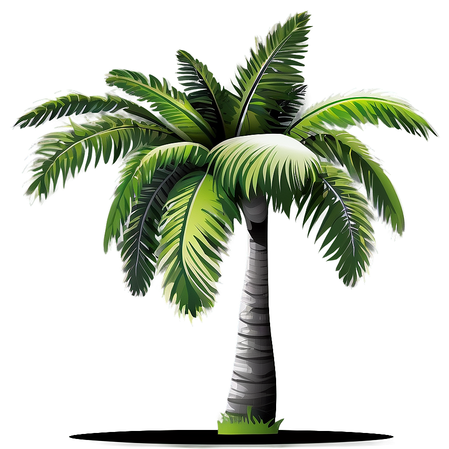 Vector Palm Tree Png Rud58