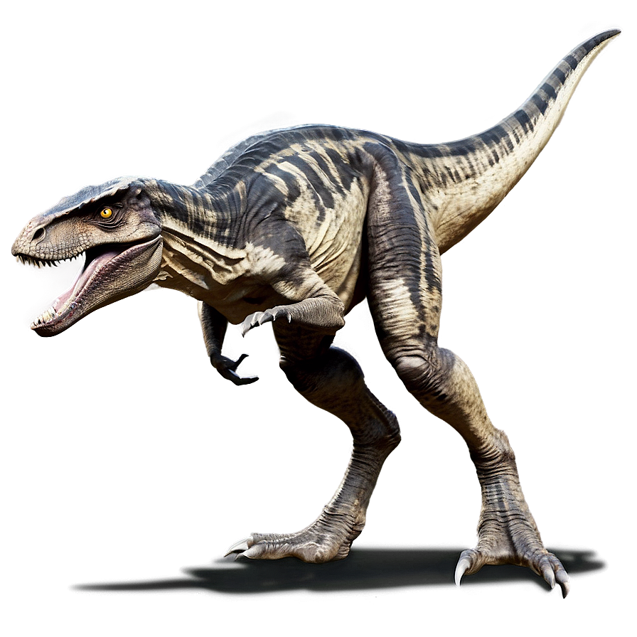 Velociraptor Dinosaur Battle Png Ceq