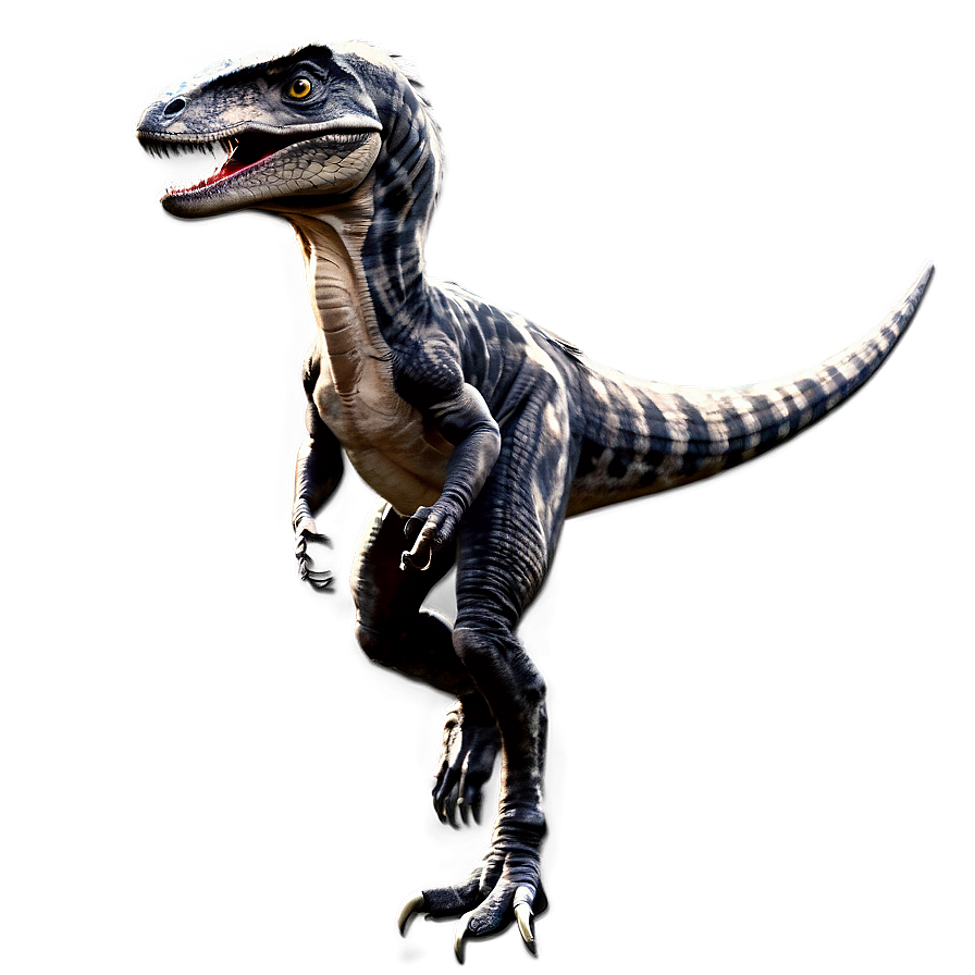 Velociraptor Illustration Png 06202024