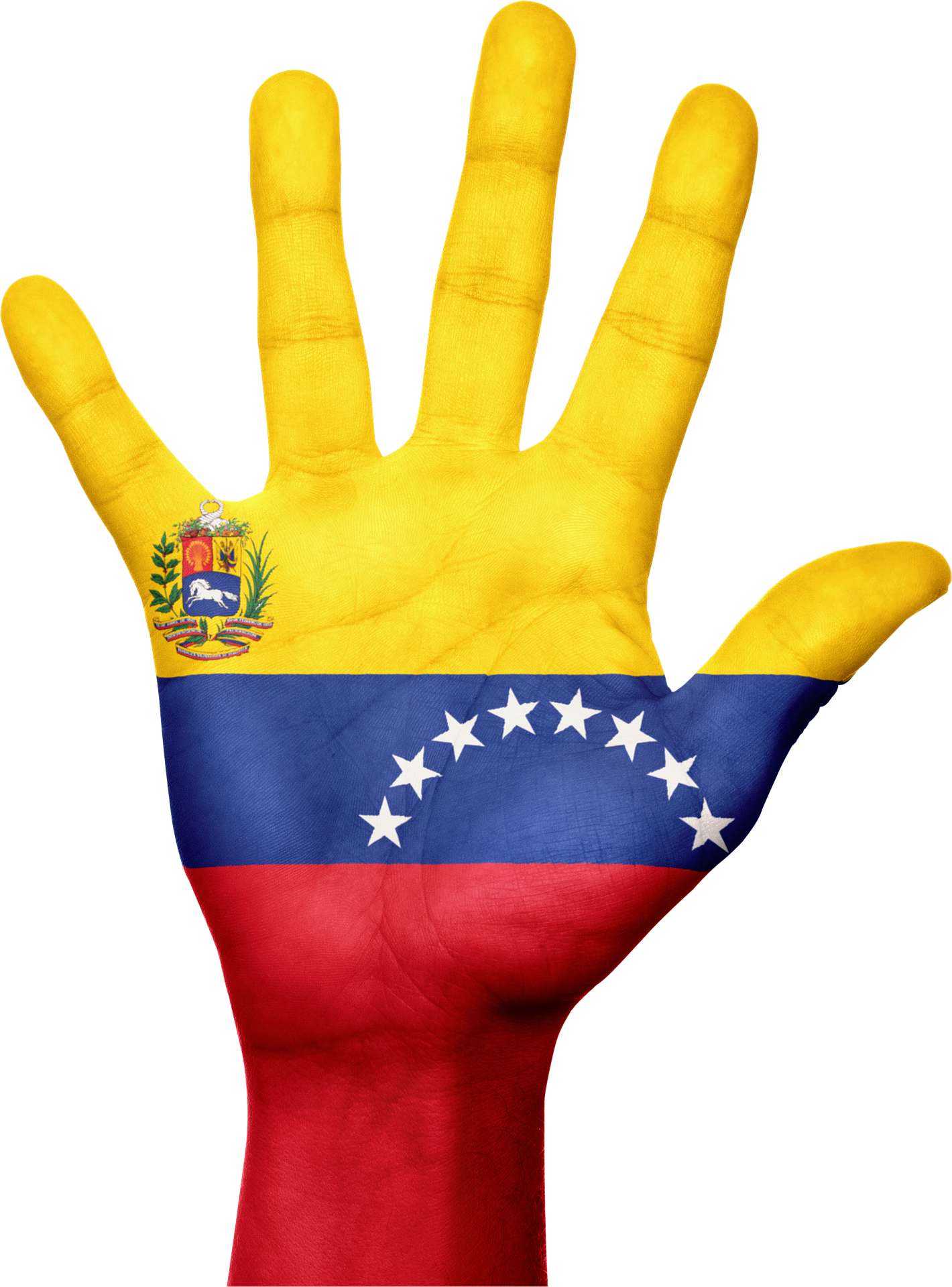 Venezuela Flag Painted Hand