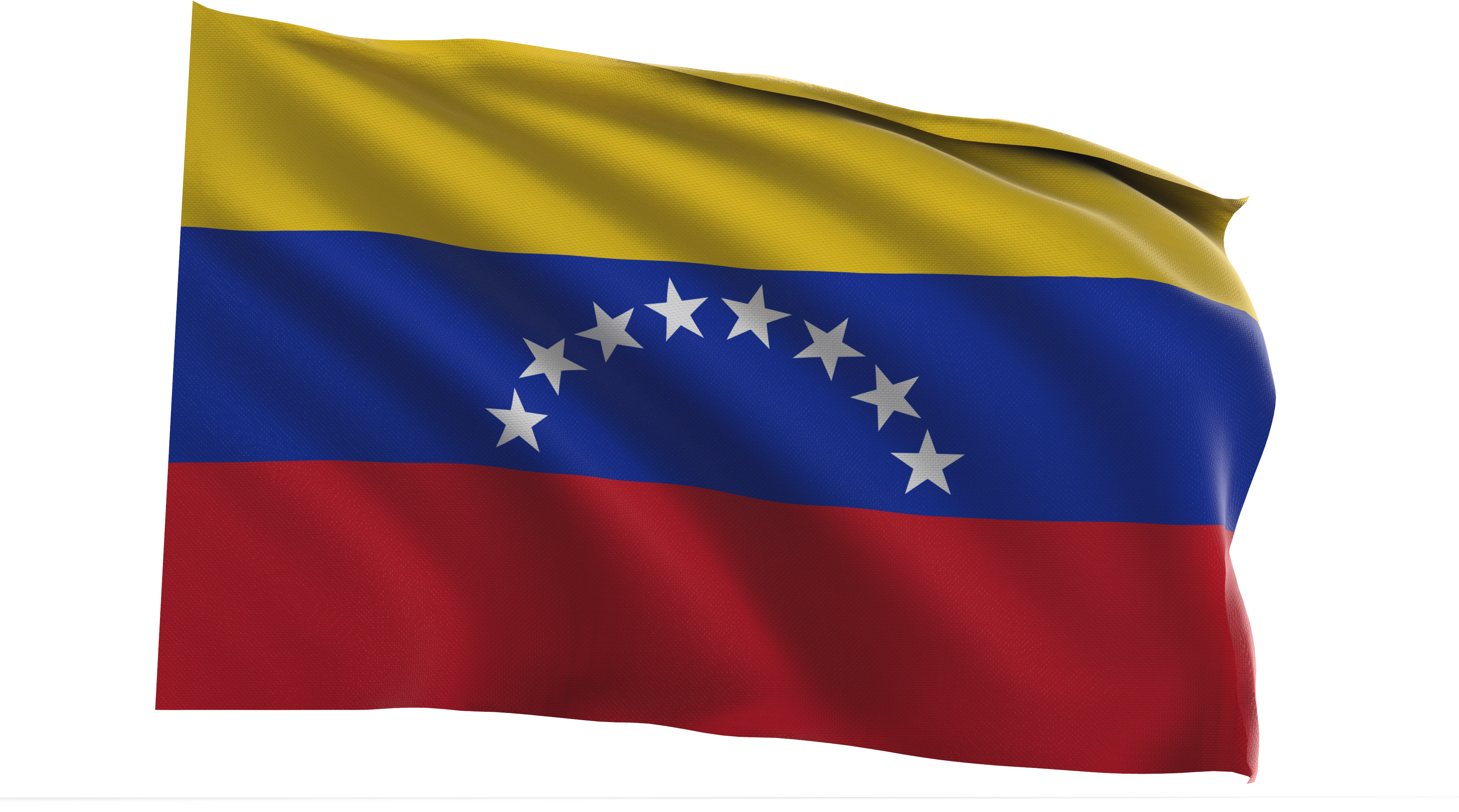 Venezuelan Flag Waving