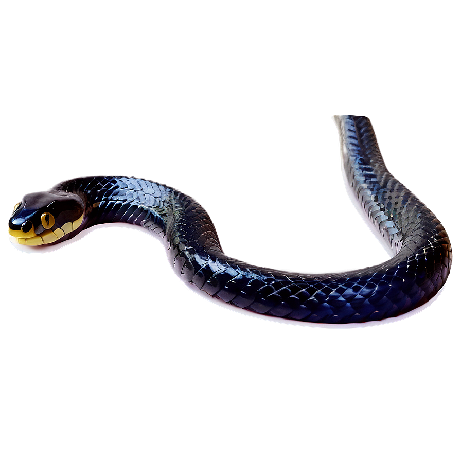 Venomous Black Snake Graphic Png Wth65