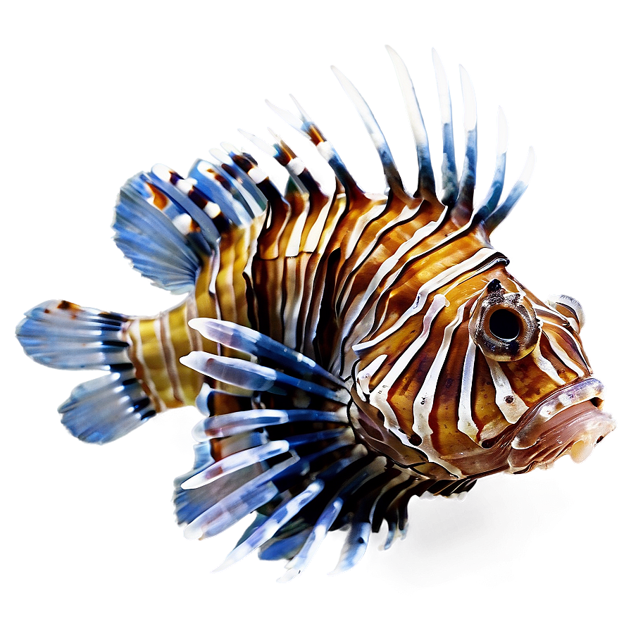 Venomous Lionfish Png 3