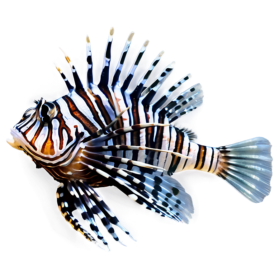 Venomous Lionfish Png Whs39