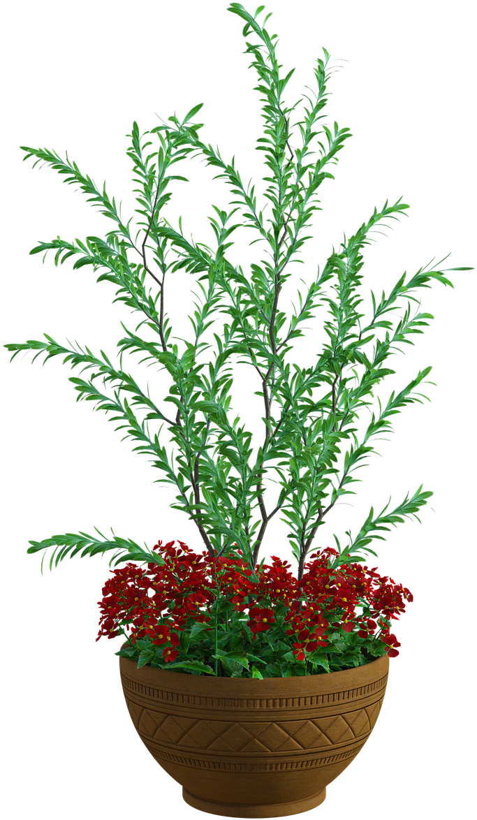 Verdant Planterwith Red Flowers