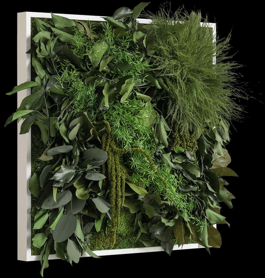 Vertical Garden Display.jpg