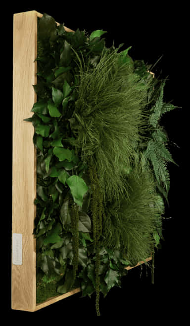 Vertical Garden Wooden Frame