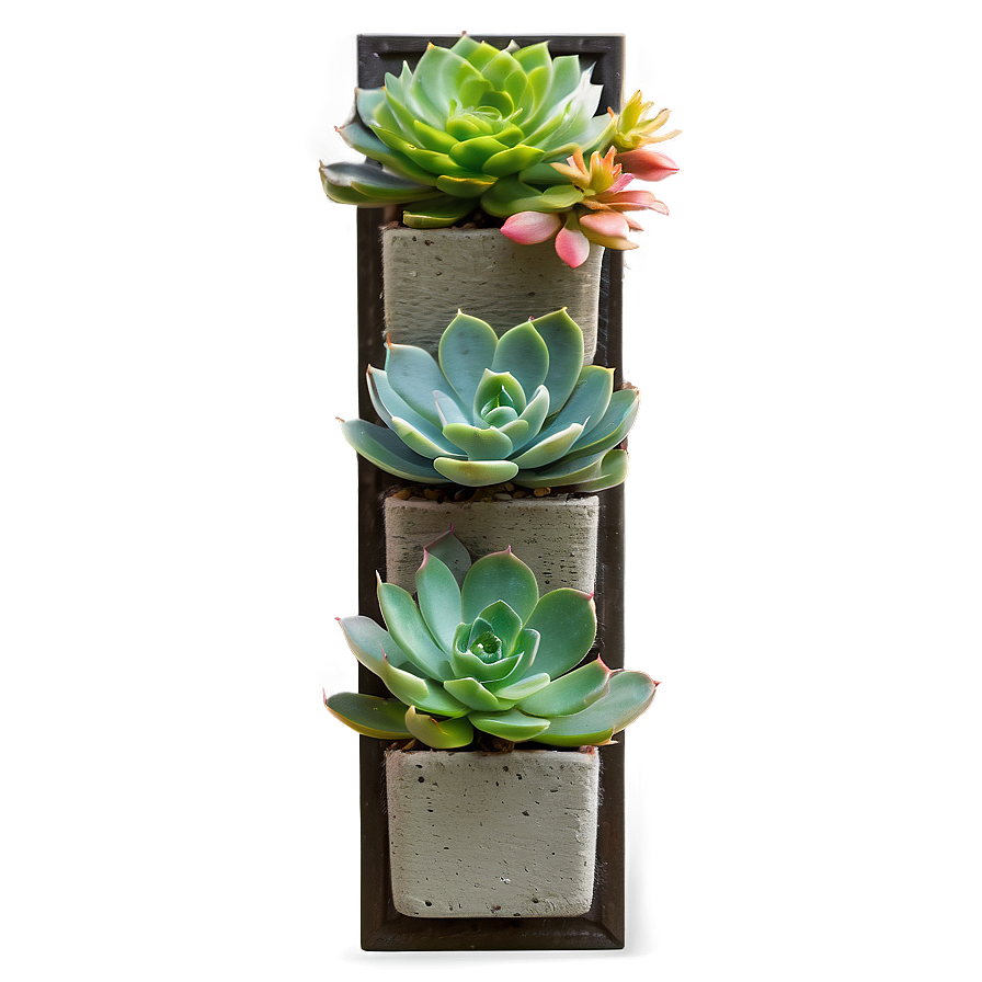 Vertical Succulent Garden Png Nyf79