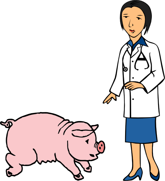 Veterinarian Examining Pig Clipart