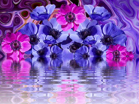 Vibrant Anemones Reflection