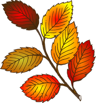 Vibrant Autumn Leaves Illustration