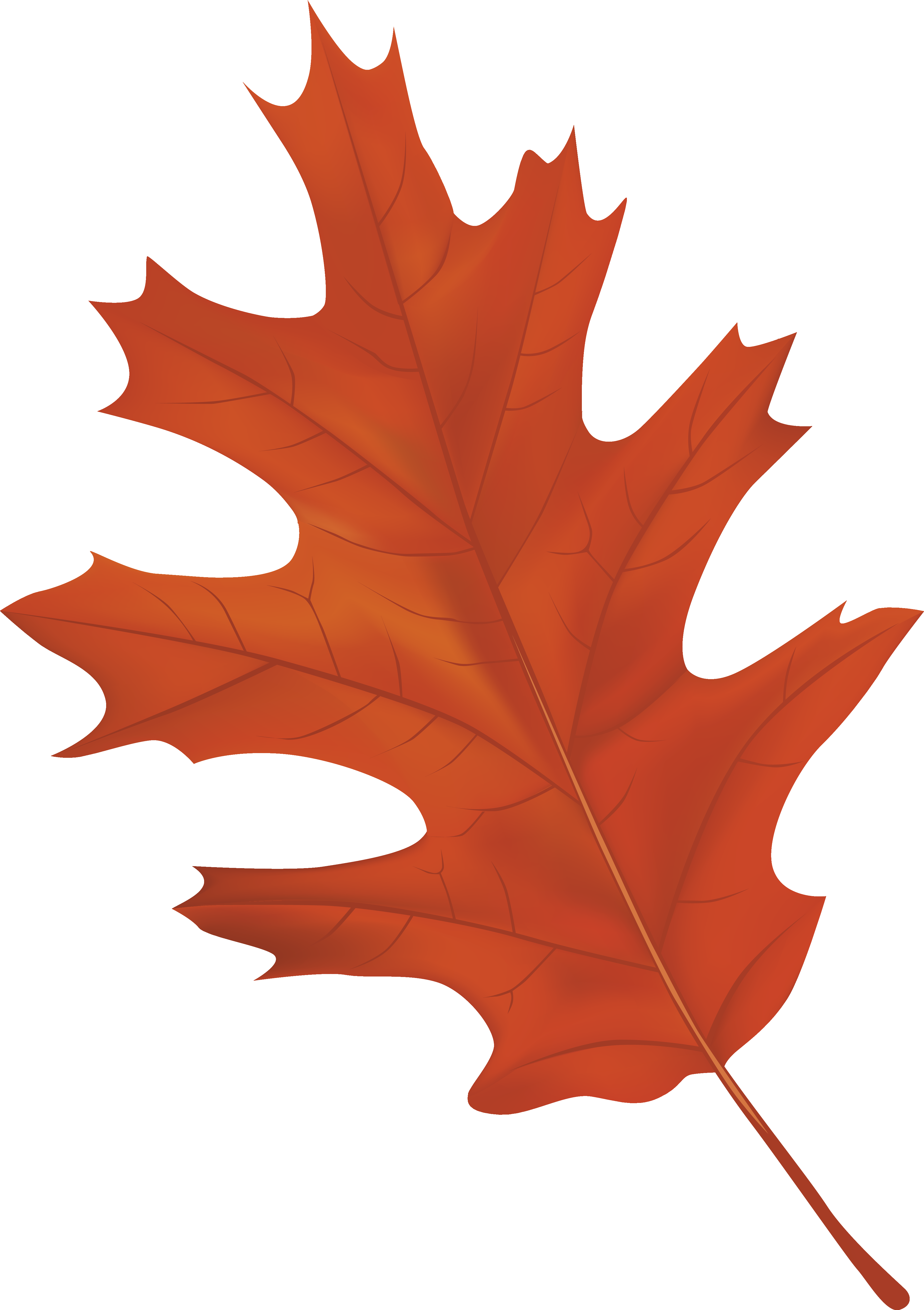 Vibrant Autumn Maple Leaf