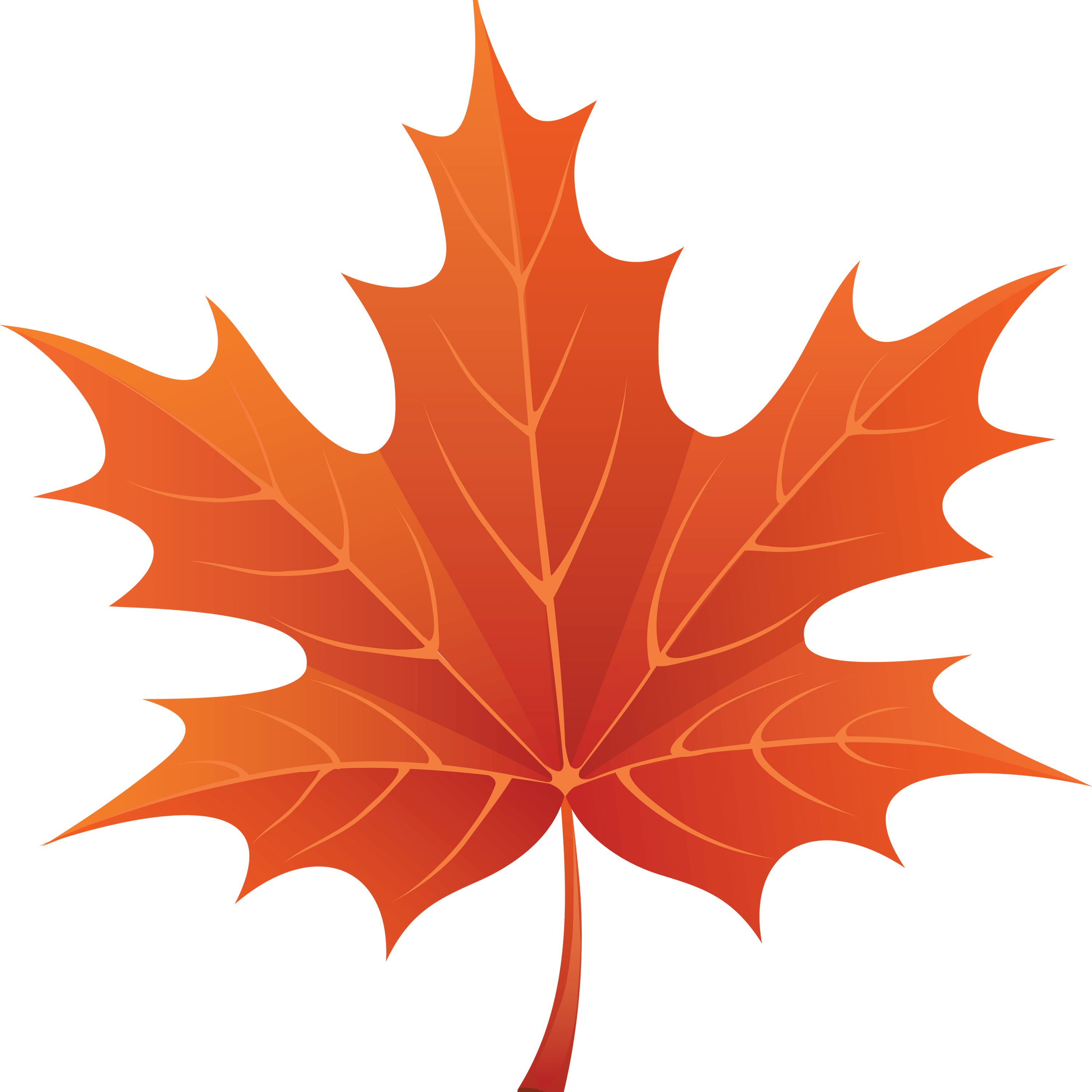 Vibrant Autumn Maple Leaf