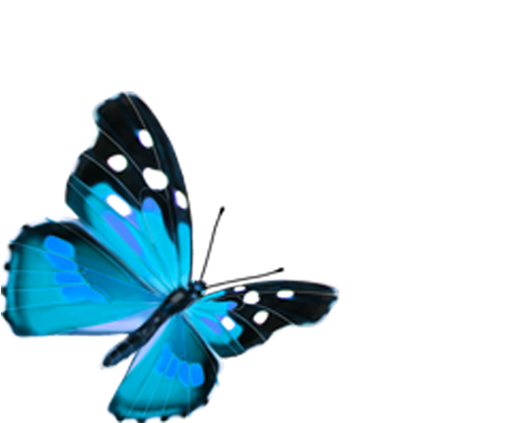 Vibrant Blue Butterfly Graphic