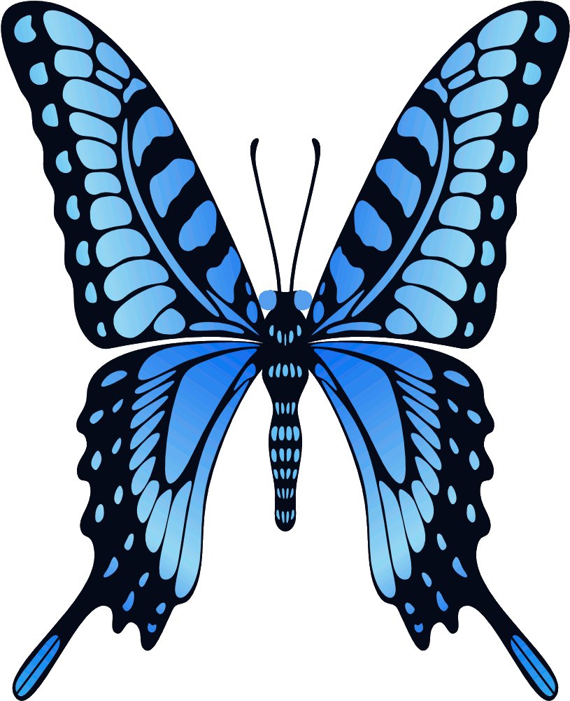 Vibrant_ Blue_ Butterfly_ Illustration.png