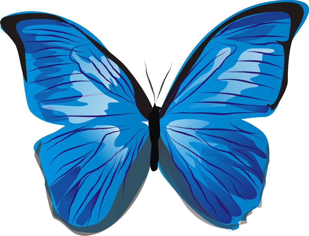 Vibrant Blue Butterfly Illustration