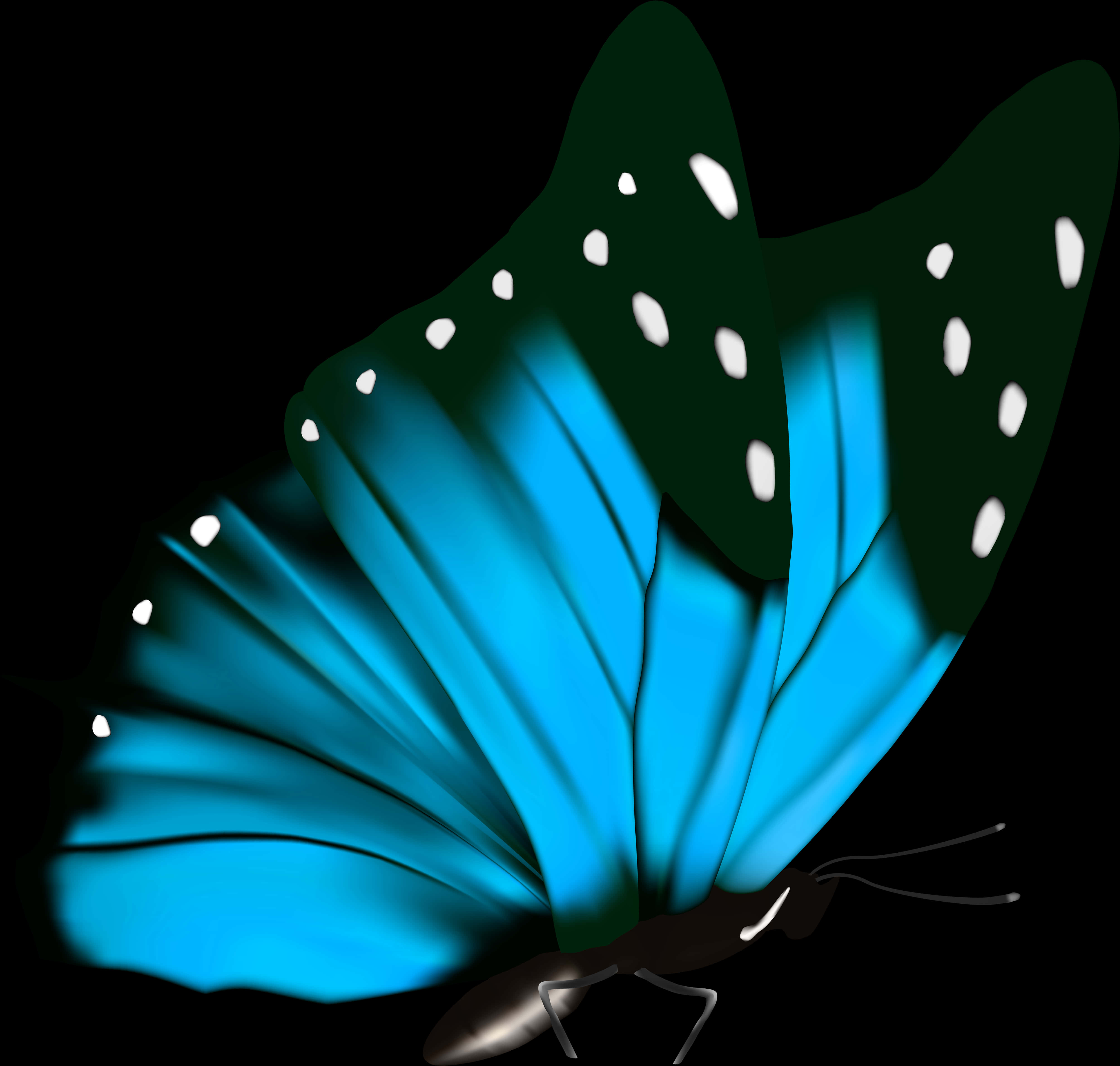 Vibrant Blue Butterflyon Black