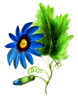 Vibrant Blue Flower Illustration