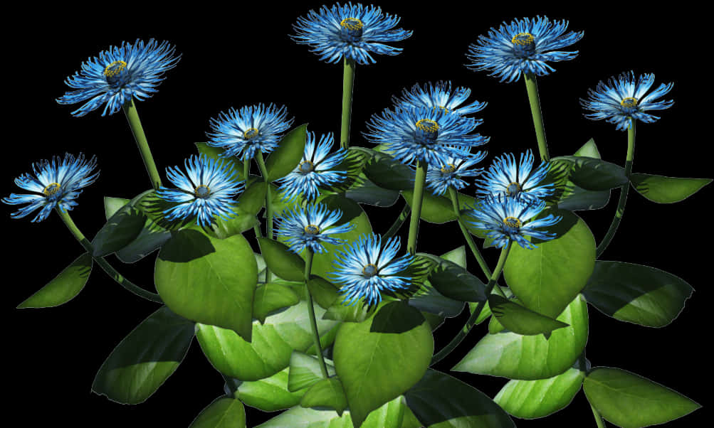 Vibrant Blue Flowers Against Black Background.jpg