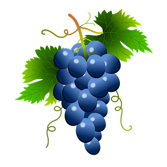 Vibrant_ Blue_ Grapes_ Vector