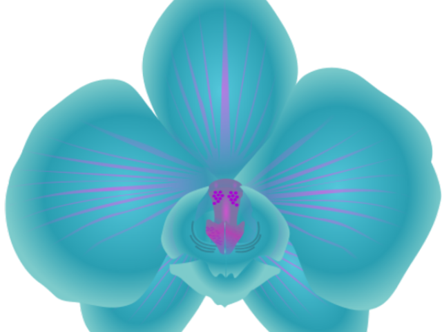 Vibrant Blue Orchid Illustration