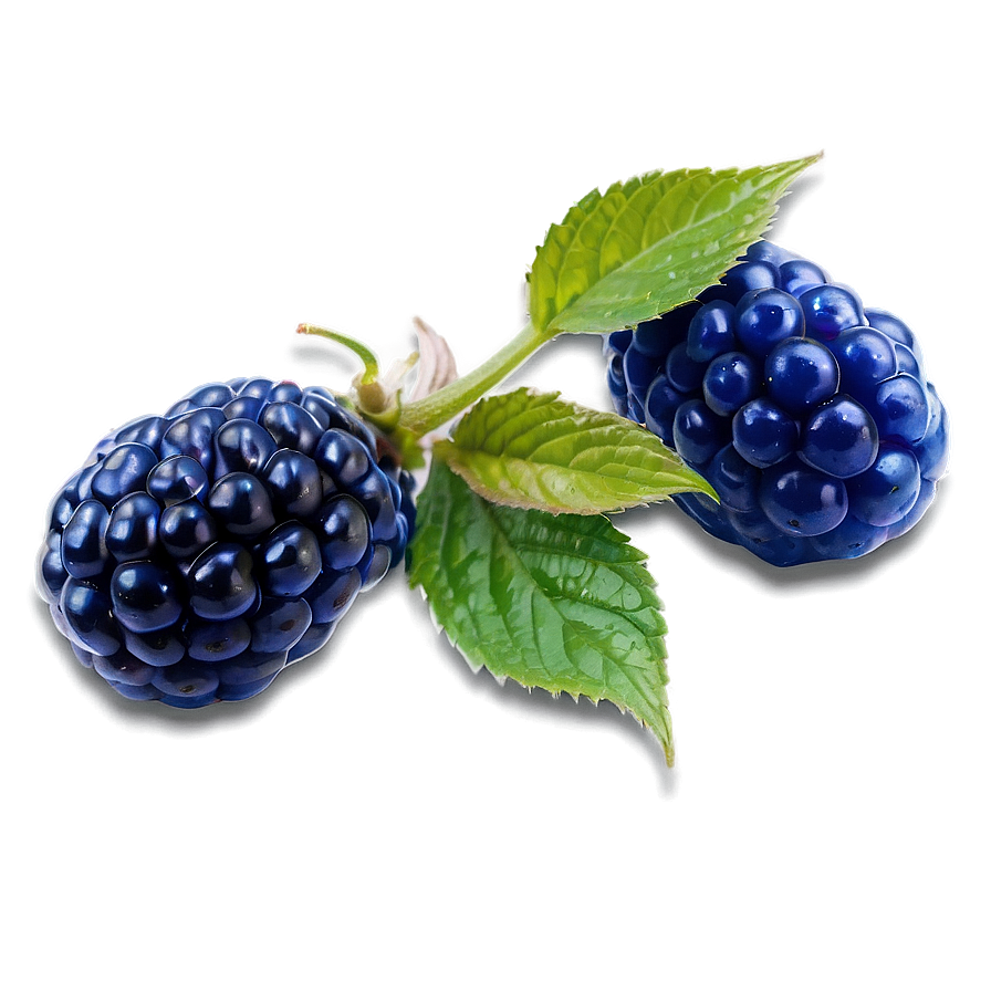 Vibrant Blue Raspberry Png Ass