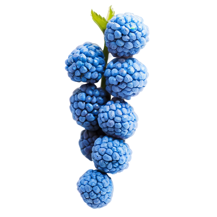 Vibrant Blue Raspberry Png Cas50