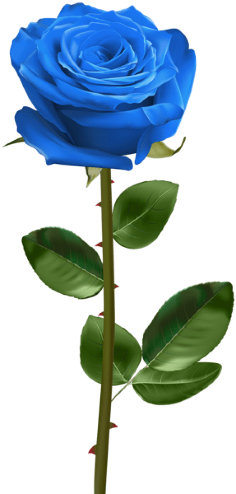 Vibrant Blue Rose Stem