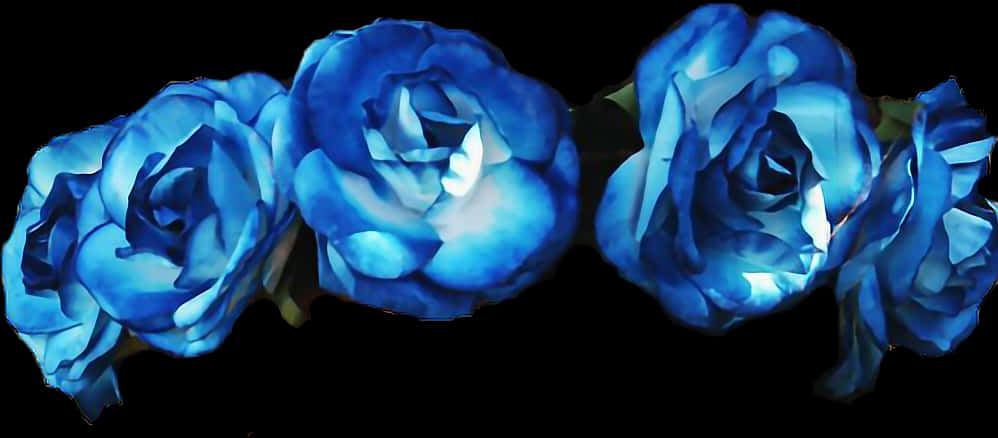 Vibrant Blue Roseson Black Background