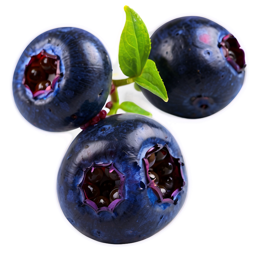 Vibrant Blueberry Png Hos35