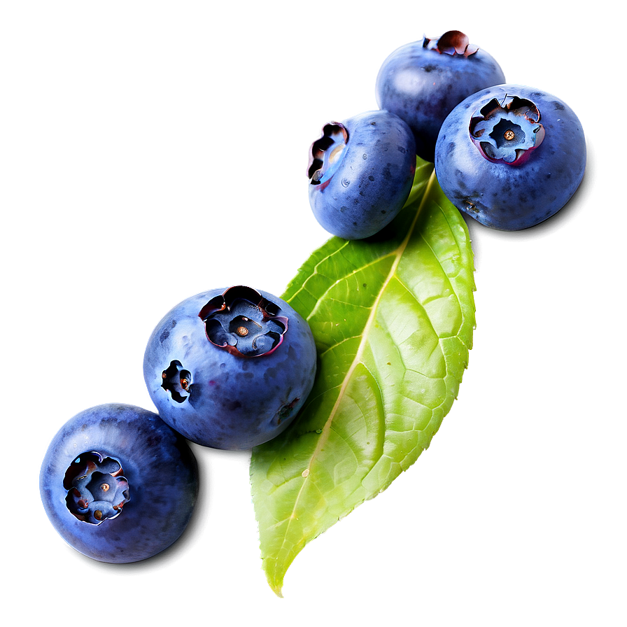 Vibrant Blueberry Splash Png Fba47