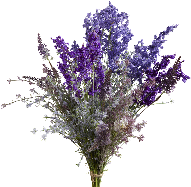 Vibrant Bouquetof English Lavender.png