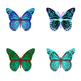 Vibrant Butterfly Collection