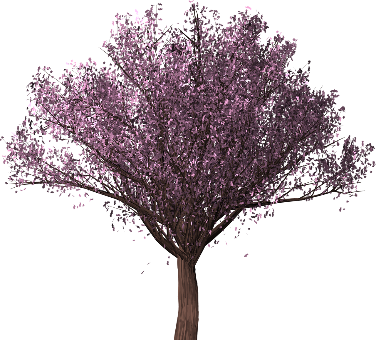 Vibrant Cherry Blossom Tree