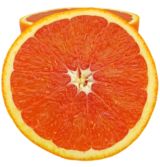 Vibrant Citrus Slice