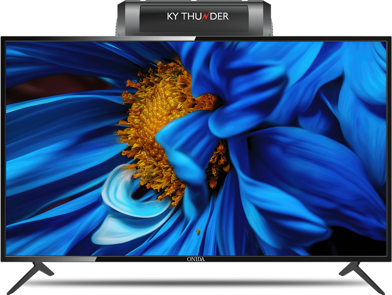 Vibrant Flower On T V Display