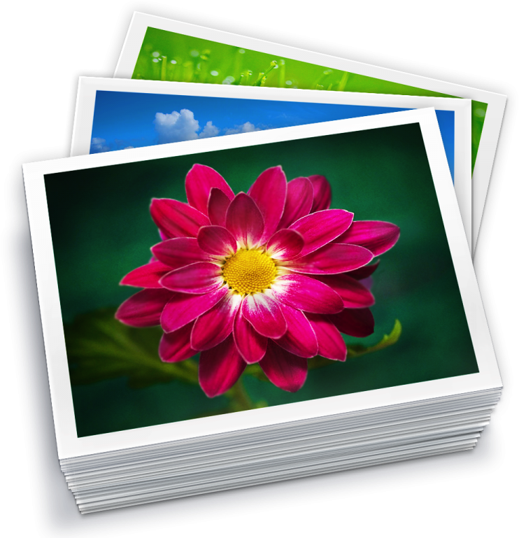 Vibrant Flower Photo Stack