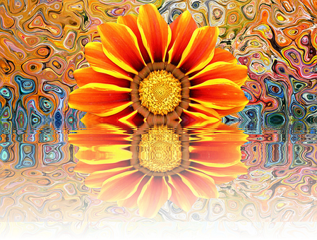 Vibrant Flower Reflection Artistic Background