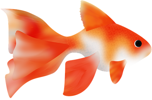 Vibrant Goldfish Illustration