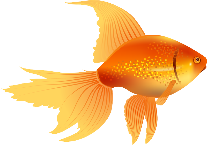 Vibrant Goldfish Illustration