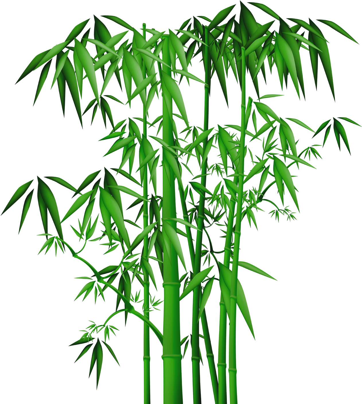 Vibrant Green Bamboo3 D Render