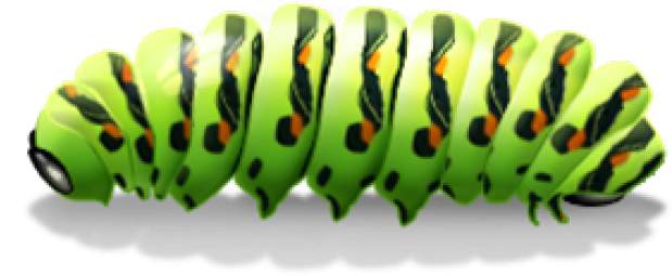 Vibrant Green Caterpillar Illustration