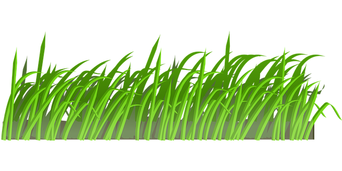 Vibrant Green Grass Illustration