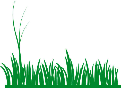 Vibrant Green Grass Silhouette