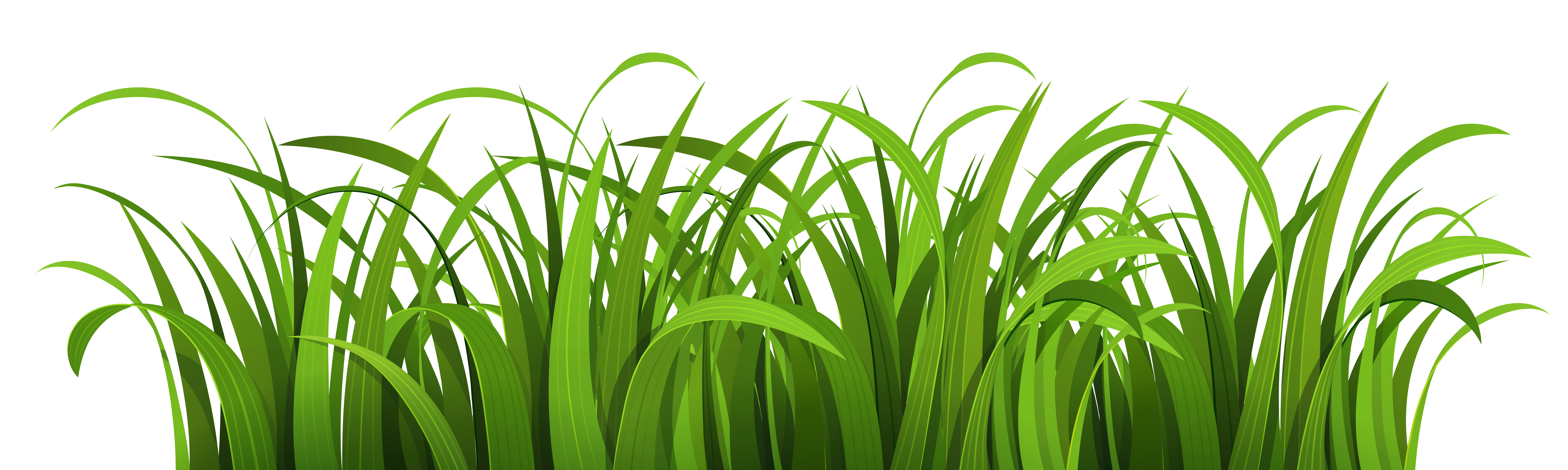 Vibrant Green Grass Texture