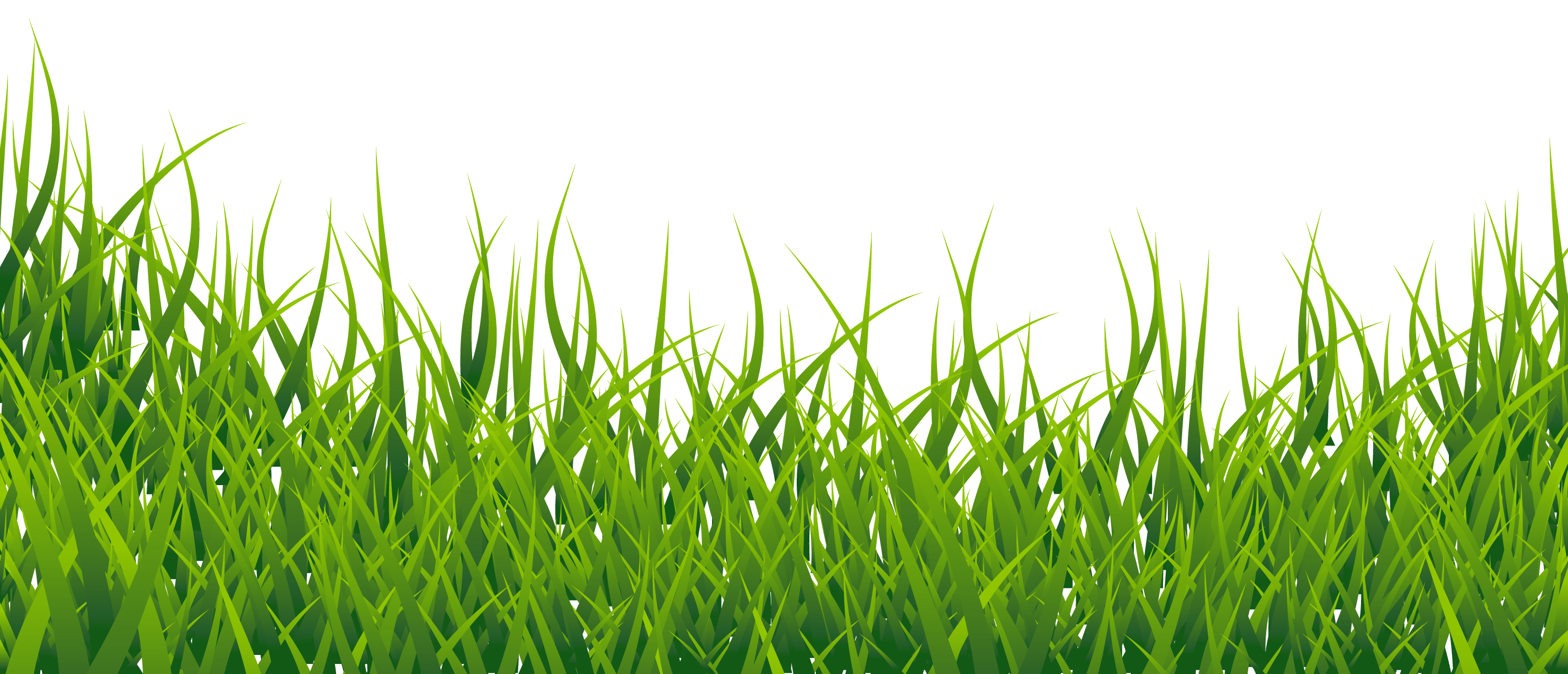 Vibrant Green Grass Texture