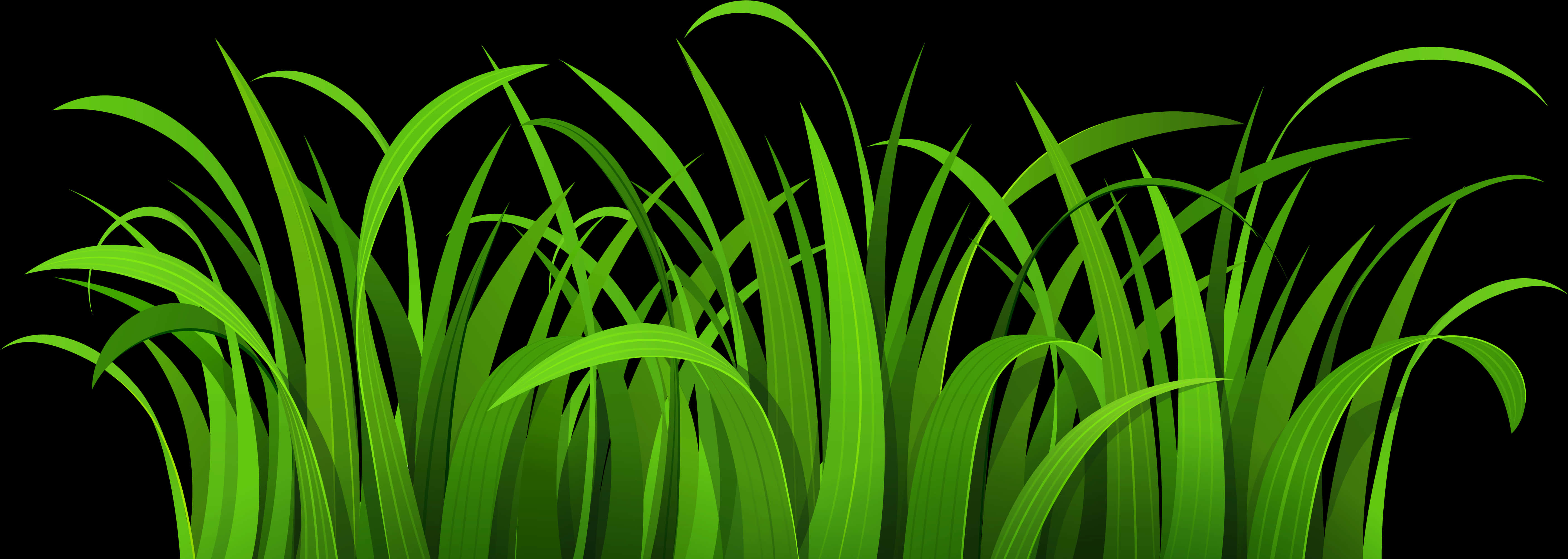 Vibrant Green Grass Vector