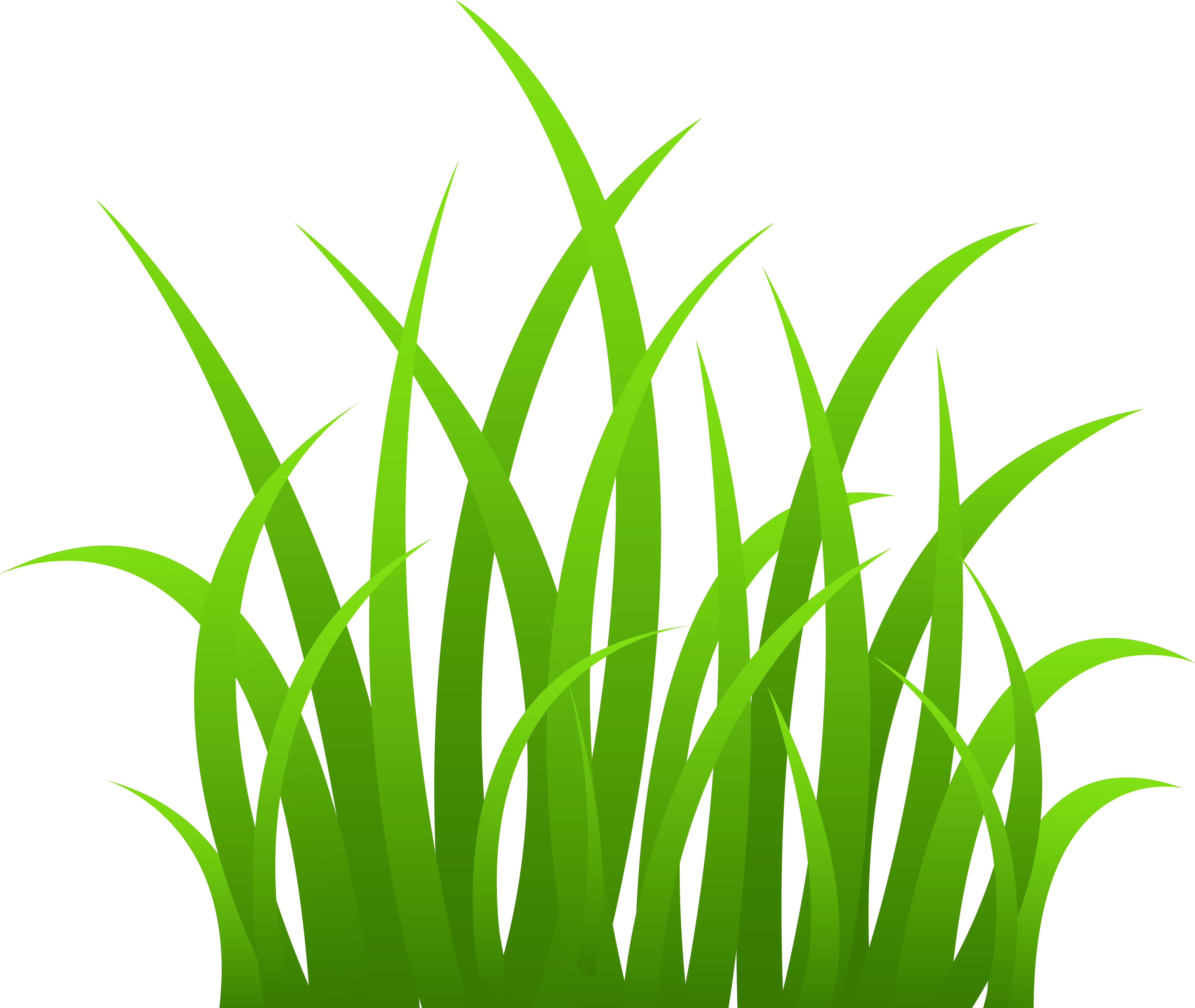 Vibrant Green Grass Vector Illustration