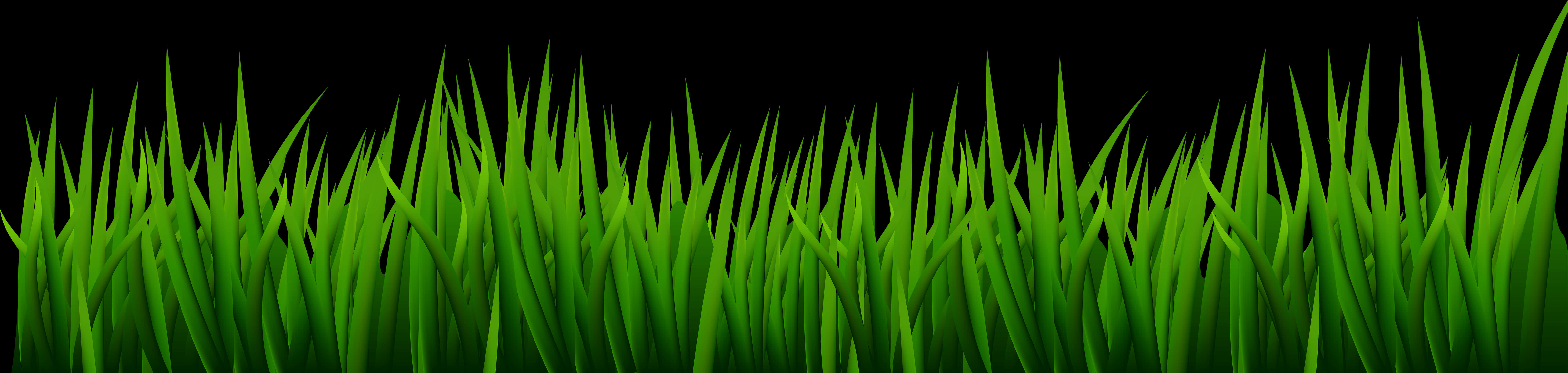 Vibrant Green Grasson Black Background