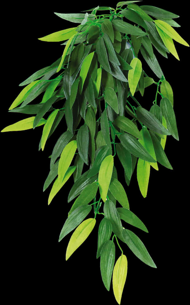 Vibrant Green Hanging Plant